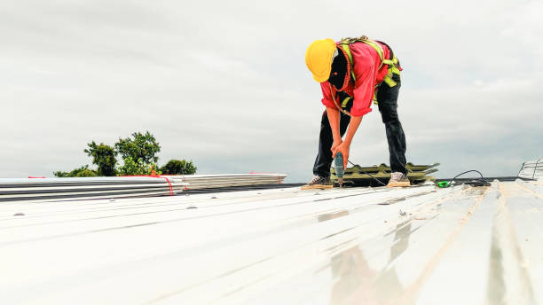 Best Chimney Flashing Repair  in Seneca, IL