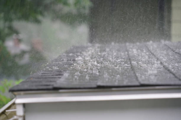 Best Roof Moss and Algae Removal  in Seneca, IL