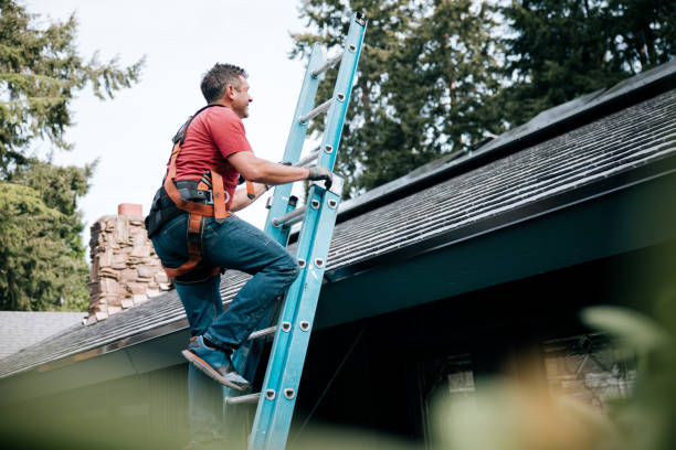 Best Metal Roofing Installation  in Seneca, IL