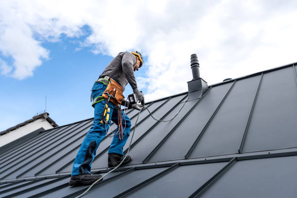 Best Sheet Metal Roofing  in Seneca, IL